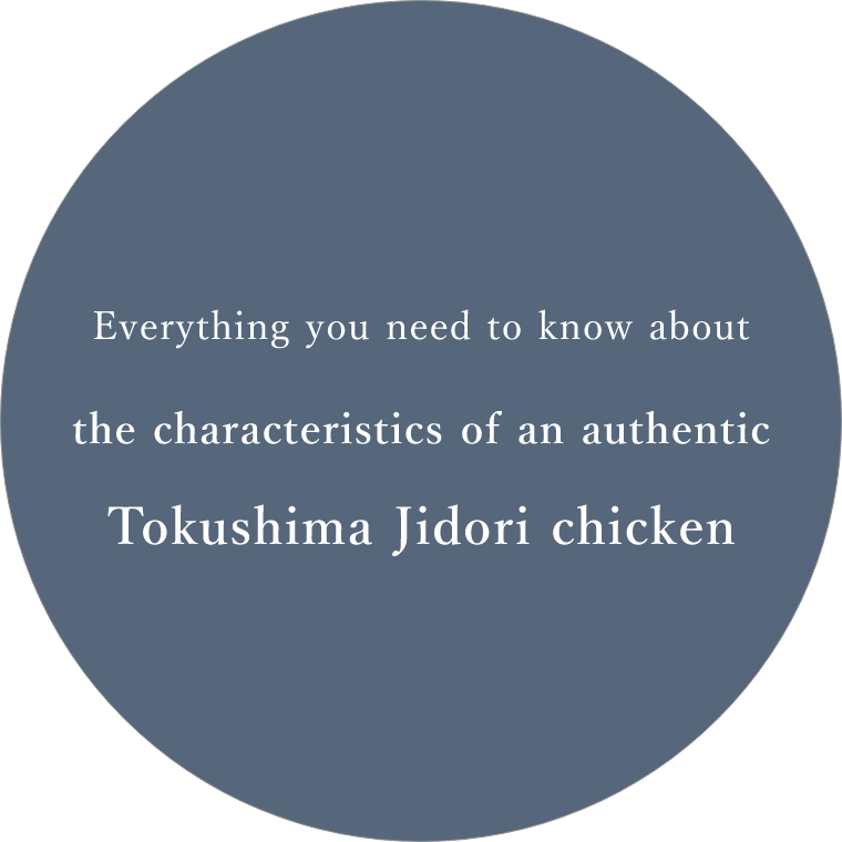 知りたい情報がここにある これが本当の徳島の地鶏